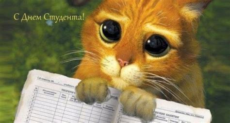 Выбирайте открытки и поздравляйте студентов с праздником! Открытки с Днем студента: прикольные картинки