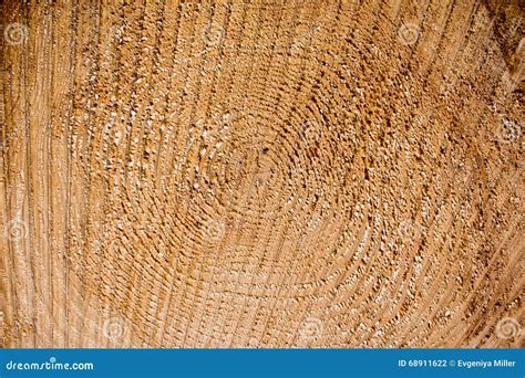 Heartwood Texture Background Stock Photo Image Of Circle Cracks