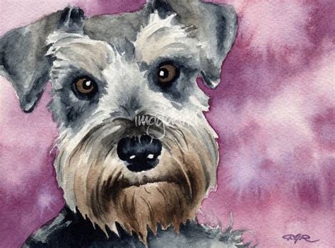 Stunning Miniature Schnauzer Artwork For Sale On Fine Art Prints