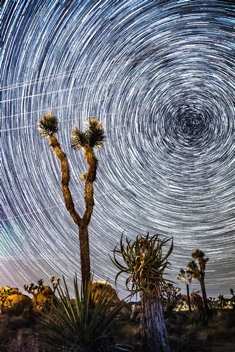 Starry Night In Joshua Tree National Park Oc 4000x6000