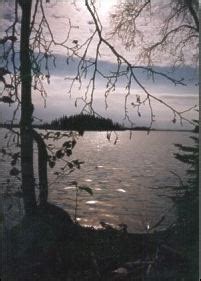Discover the best of brereton lake so you can plan your trip right. Brereton Lake