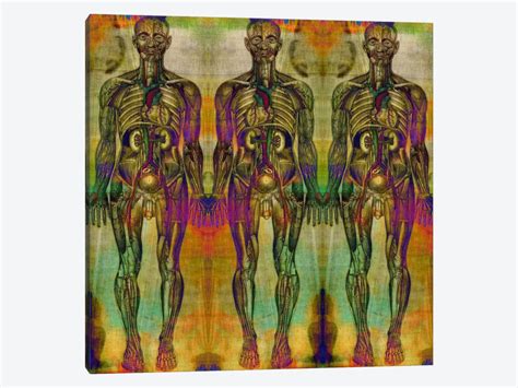 Human Anatomy Composition 8 Canvas Wall Art By Unknown Artist Icanvas