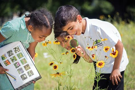 How Children Learn Through Nature Cyp Now