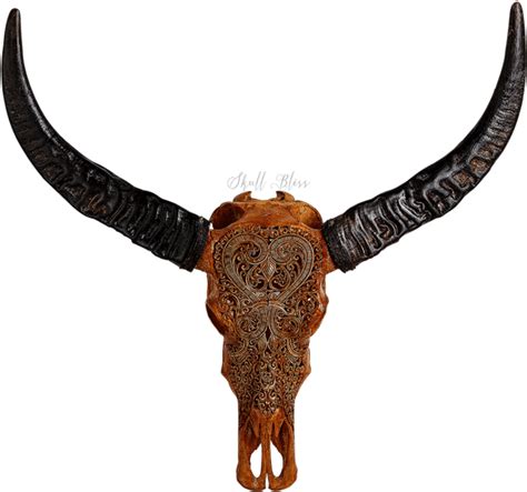 Carved Buffalo Skull Png Download Clipart Large Size Png Image Pikpng