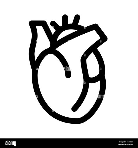 Corazón Humano Dibujo Imágenes De Stock En Blanco Y Negro Alamy