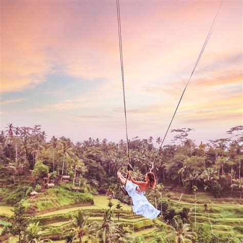 Stunning Re Post From Elevate The Globe This Is The Iconic Tegalalang Rice Terrace Swing In