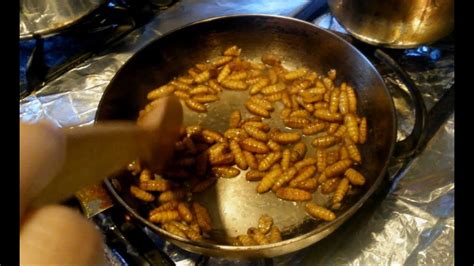 How To Cook Silkworm Its Quite Delicious Youtube