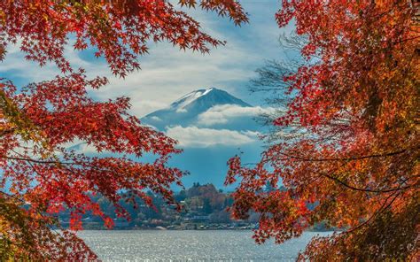 Firstly, double right click by your mouse, touchpad or screen on the setup installer to start the installation. Autumn Colors Windows 10 Theme | Free Wallpaper Themes