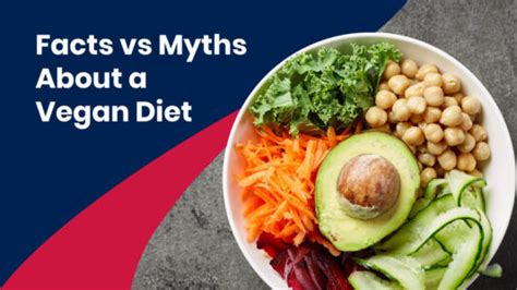 vegan diet facts vs myths affordable health coverage plan quotes ushealth group