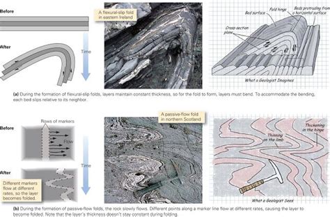 Folds And Foliations ~ Learning Geology Ciencias De La Tierra Figuras