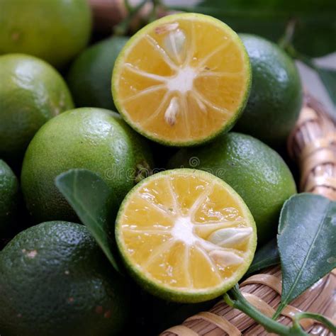 Green Kumquat Fruit On Wooden Background Stock Image Image Of Natural