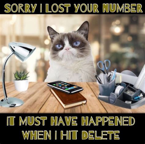Grumpy Cat Says Sorry Lost Your Number It Must Have Happened When I