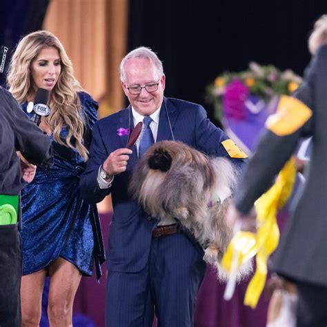 The 2021 westminster kennel club dog show will take place this weekend, ready to introduce you to the finest dogs in the world. Westminster Dog Show 2021: Wasabi the Pekingese Wins Best ...