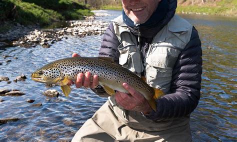 Trout And Grayling Fishing River Teviot Orvis Guides