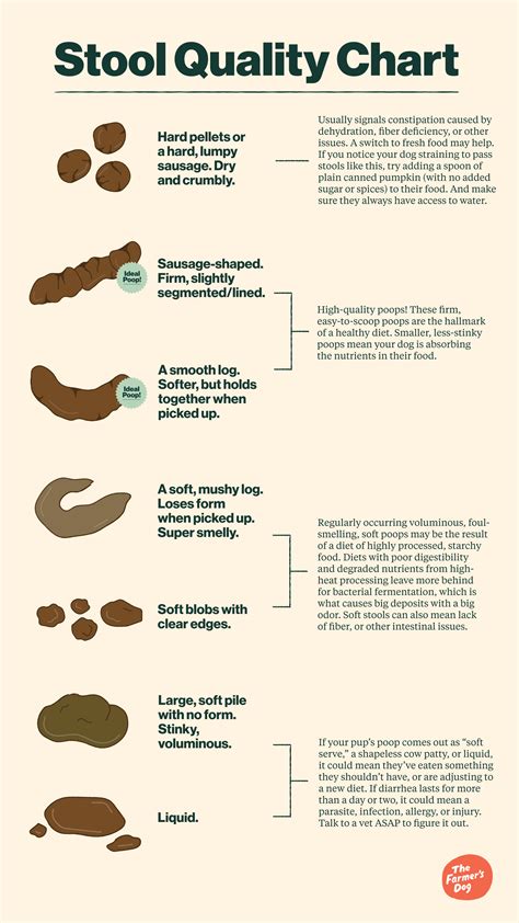 Stool Quality Chart For Dog Poop