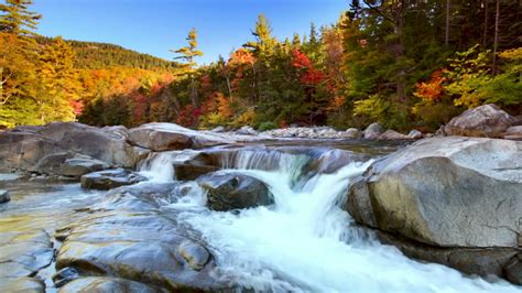 Usa Autumn River Flowing Through Fall Foliage 4k River Sounds Sleep