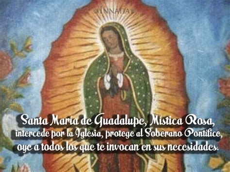 Frases E Imágenes De La Virgen De Guadalupe Con Frases Para Descargar