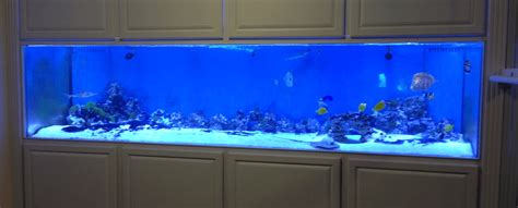 1000 Gallon Fish Tank 1000 Gallon Aquarium From Seaquatic Aquariums