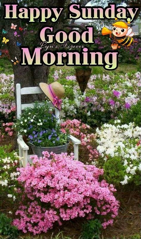 Garden Good Morning Happy Sunday Pictures Photos And Images For