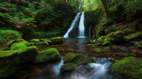 Free Download Rainforest Waterfall 4k Hd Desktop Wall