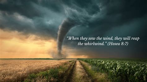 The Whirlwind