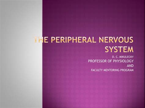 Ppt The Nervous System Powerpoint Presentation Free Download Id B51
