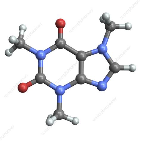 Caffeine Molecule Stock Image F0033387 Science Photo Library