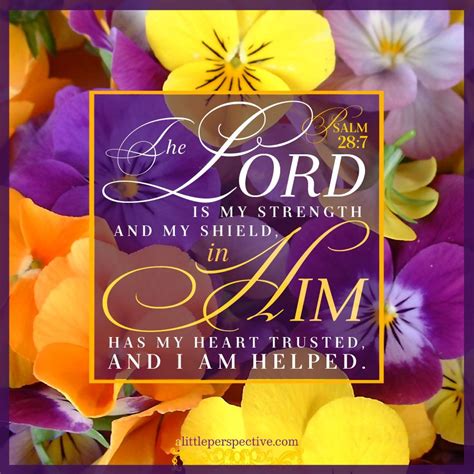 The Lord Is My Strength And My Shield In Him Has My Heart Trusted And