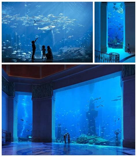 Atlantis The Palm Resort Dubai Aquarium Paging Fun Mums