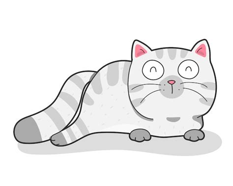 Draw Cute Fat Cat Premium Vector