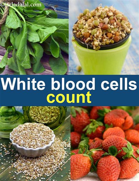 What Foods Can Help Increase White Blood Cells