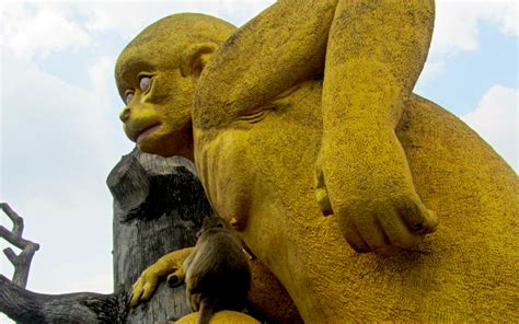 Visitng The Loburi Monkey Temple In Thailand The Travel Blogs