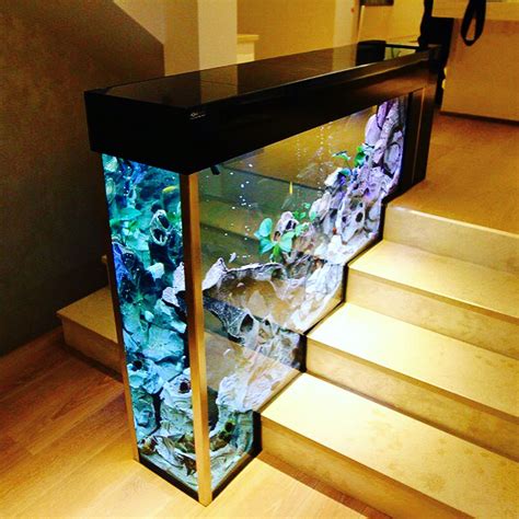 What Are Your Thoughts On This Stair Aquarium And What Fish Would You