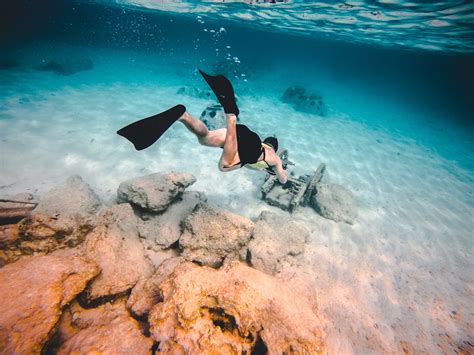 Cayman Islands Snorkeling Travel To Sun