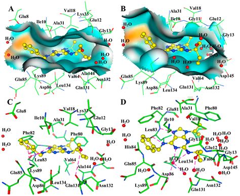 Ijms Free Full Text Insights On Structural Characteristics And