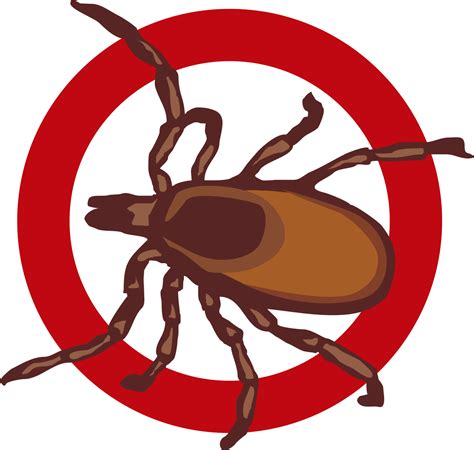 Bed Bug Png Images Transparent Free Download Pngmart