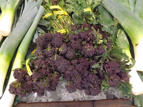 Best Way To Cook Purple Sprouting Broccoli Broccoli Walls