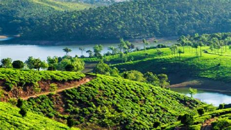 6 Hidden And Beautiful Places To Visit In Munnar Trawell Blog