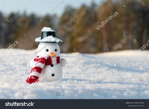 Funny Snowman Black Hat Redwhite Scarf Stock Photo 2083274029