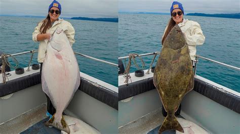 Big Fish Caught In Alaska