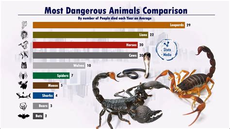 Deadliest Animals Chart