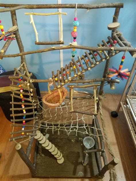 Just be careful where you put it. Diy bird playgym | Diy bird toys, Bird toys, Diy bird cage