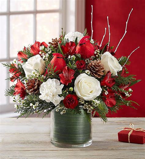 Christmas Flowers Arrangements 2023 Latest Ultimate Awesome Incredible Christmas Greetings