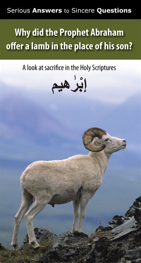 Why Did The Prophet Abraham Offer A Lamb In The Place Of His Sonpack