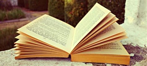 Día Del Libro ¿cuál Es El Mejor Momento Para Leer