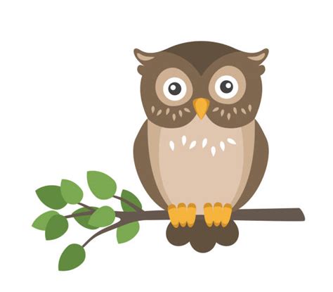 Owl Illustrations Royalty Free Vector Graphics And Clip Art Istock