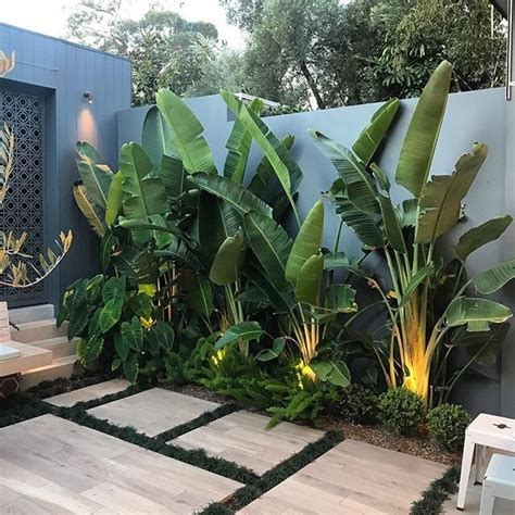 Help Tropical Plants Narrow Garden Bed In Melbourne Houzz Au