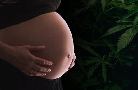 Science Focused Messaging Could Help Reduce Cannabis Use During Pregnancy Wsu Insider