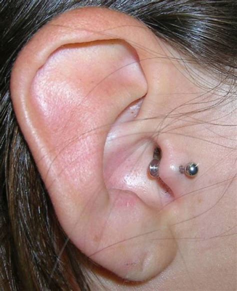 Tragus Ear Piercing Everything You Need To Know