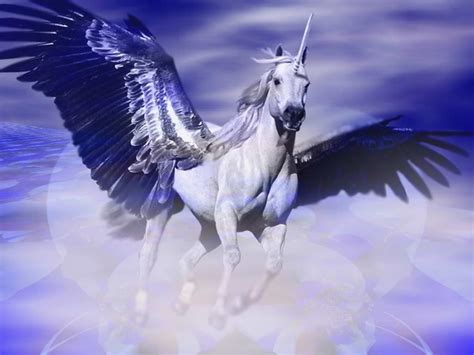 Pegasus Wallpaper Hd Download